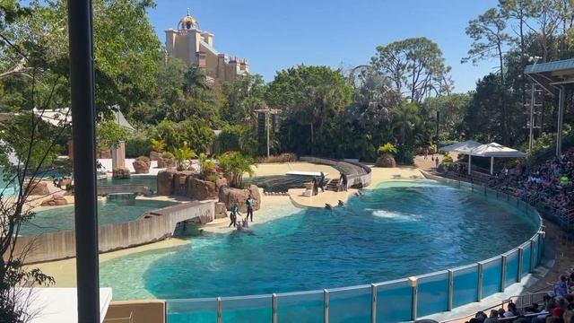 SEAWORLD Американские горки Горка вниз головой MANTA