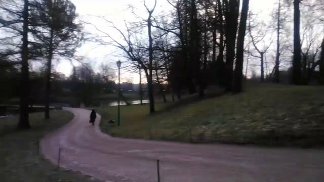 Гатчинский дворцово-парковый ансамбль. Белое озеро. Ноябрь 2018. смотреть онлайн