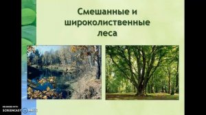 Природные комплексы России