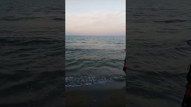 Ловля рыбы на Средиземном море, Северный Кипр. смотреть онлайн