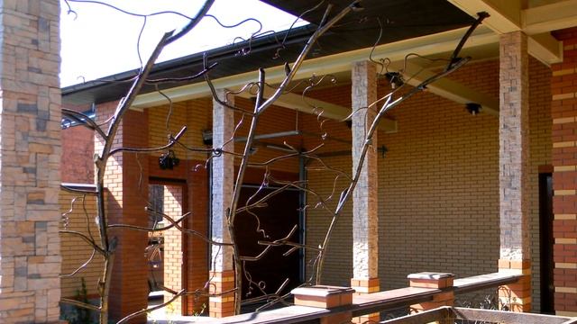 Виноградные опоры в Днепропетровске, ковка в Днепре