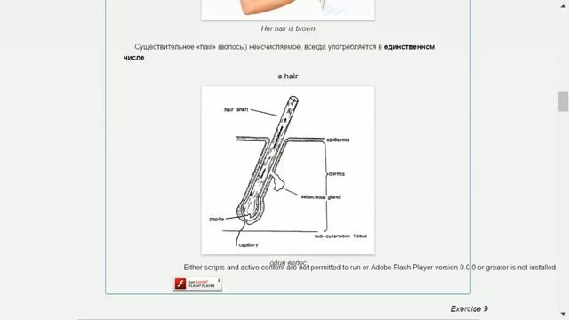 Экскурсия в виртуальную школу English Wave. Вариант SuperJet. Курс Universal English смотреть онлайн