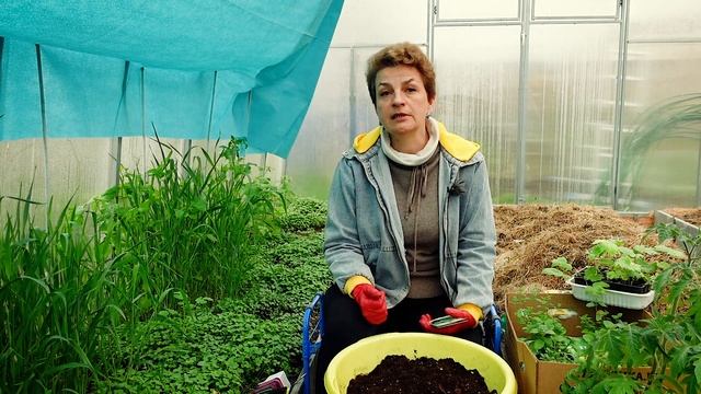 ПРЯНЫЙ БАЗИЛИК ? ! Всё вкуснее с базиликом!