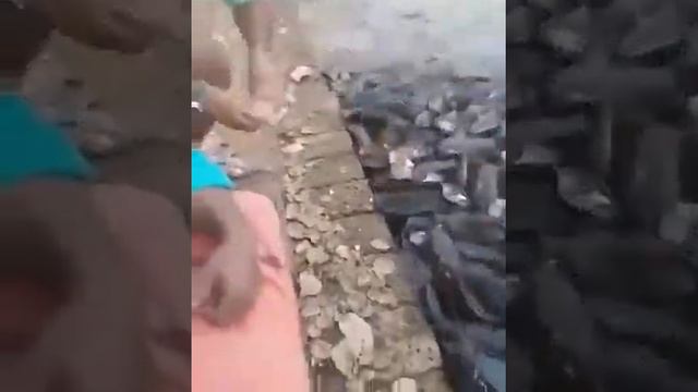 Очень Голодные Рыбки.Даже могут и сьесть Человека смотреть онлайн