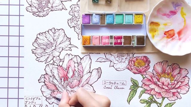 Watercolor Botanical Illustration How to Draw Peony Series #2 Pink Double Dandy 9 minutes смотреть онлайн