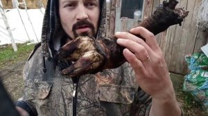 Как опалить и очистить говяжьи ноги