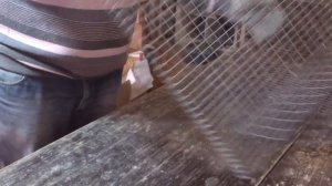 Клетка на 10-15 перепелов своими руками. Клетка для перепелов