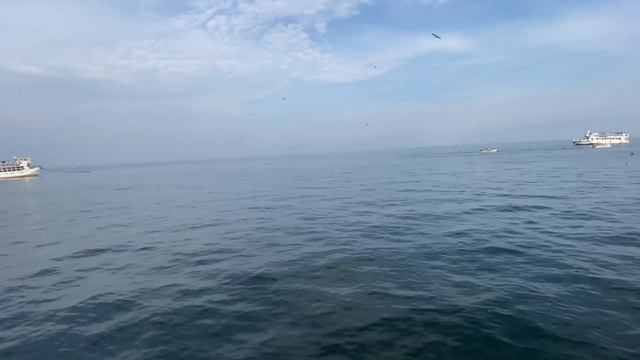 Святая Земля | Галилейское море и река Иордан | Уровень воды в феврале 2020 года смотреть онлайн