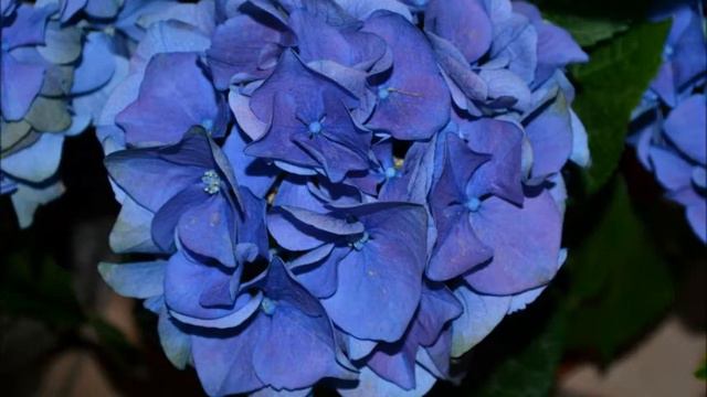 Usher - yeah , instrumental смотреть онлайн