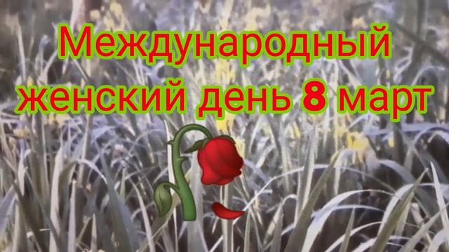 Руслан Шарипов : короткие история о Международный женский день смотреть онлайн