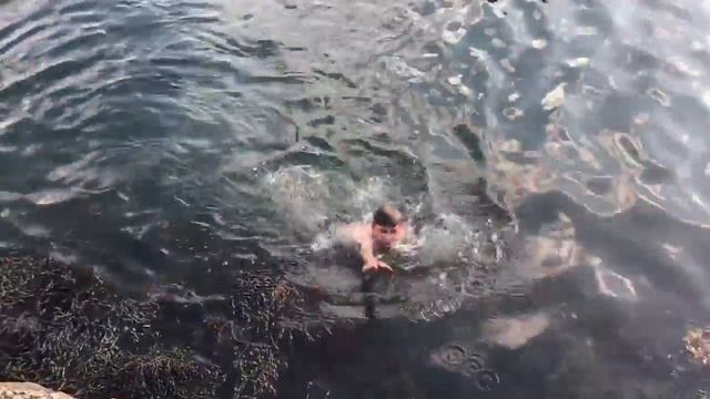 Купание во фьорде смотреть онлайн