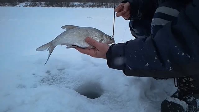 Ока. Январь. Три часа на рыбалку. смотреть онлайн