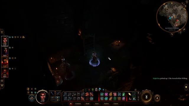 Baldur's Gate 3. Circle of Spores Druid Playthrough смотреть онлайн