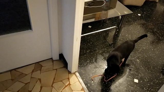 27 марта 2020 год Италия Генуя обстановка на улицах города, полки в супермаркете и очереди ? смотреть онлайн