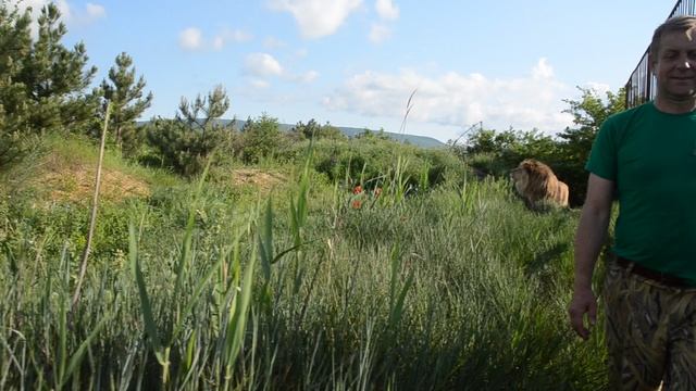 Сафари в Крыму смотреть онлайн