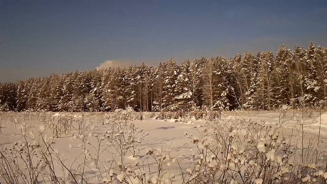 Тайга.Поляна .Taiga.Glade. смотреть онлайн
