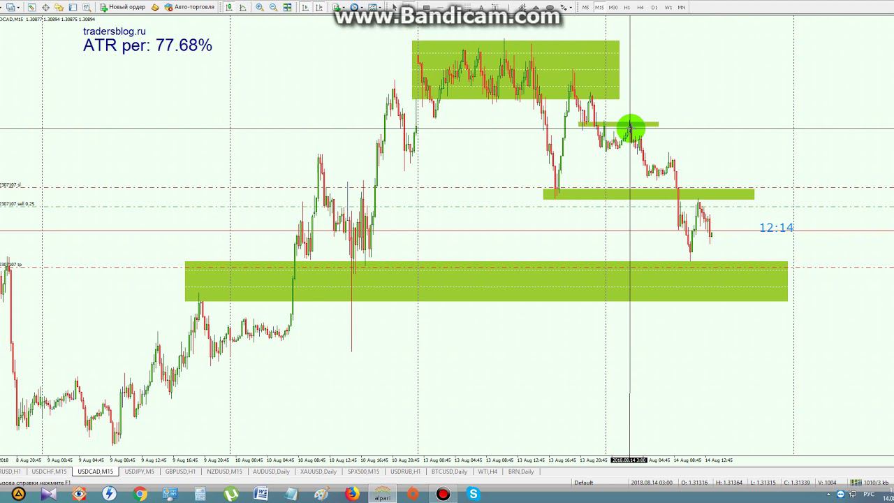 Трейдинг обучение Форекс Gold Trader