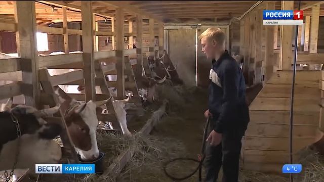 Семейные животноводческие фермы могут подавать заявки на получение грантов смотреть онлайн