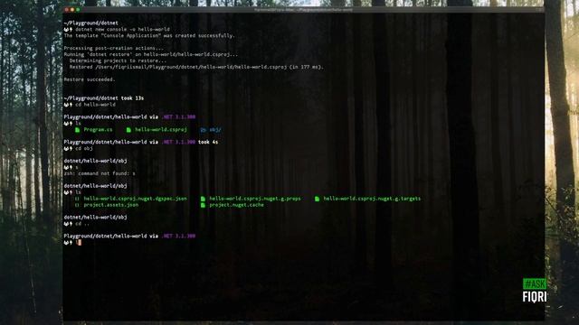 Freely Available Tools from Micrsoft for a Developer | .NET Developer Tools in Sinhala смотреть онлайн