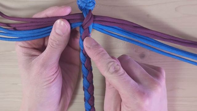 Plaited Paracord Dog Leash