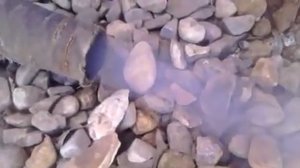 Не работают свечи накала????? фольксваген транспортер т4 аав 2.4 1995 г.в.