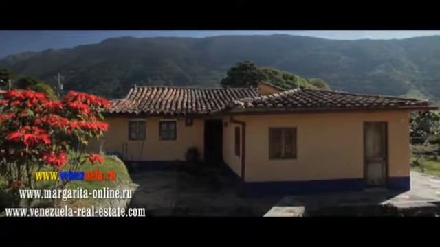 Merida   Venezuela Мерида   Венесуэла