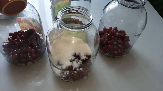 КОМПОТ БЕЗ ХЛОПОТ! ВИШНЕВЫЙ КОМПОТ НА ЗИМУ!Самый ПРОСТОЙ рецепт! смотреть онлайн