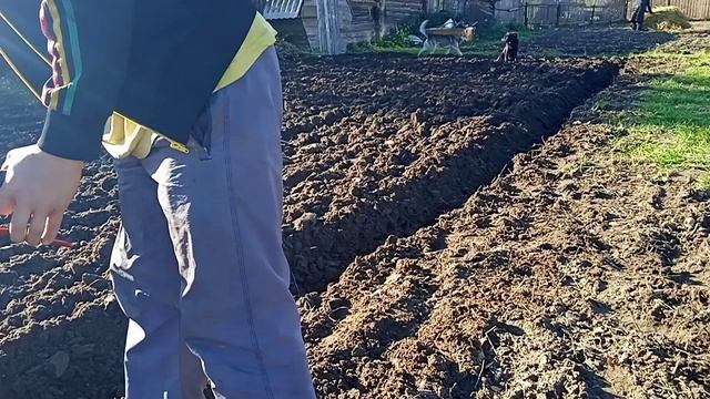 вспашка огорода мотоблоком асилак 84 смотреть онлайн