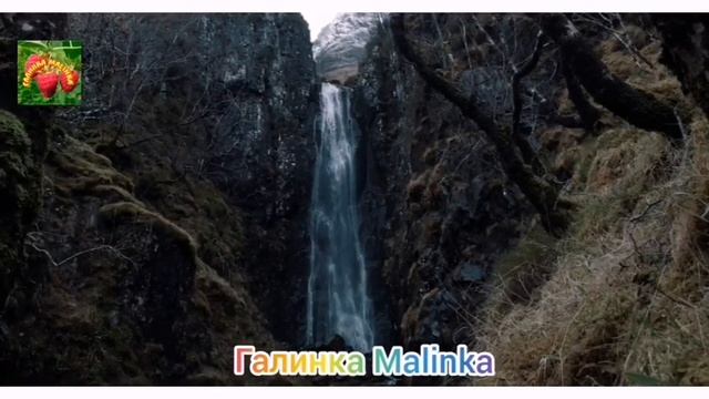 Жубревы Life Vlog /Обзор Влогов /Работа не волк, в лес не убежит // смотреть онлайн