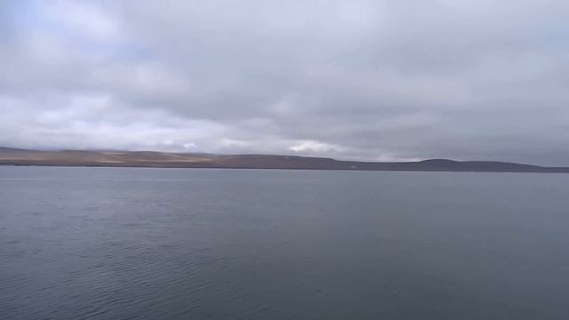 Про Арктику сказ. смотреть онлайн