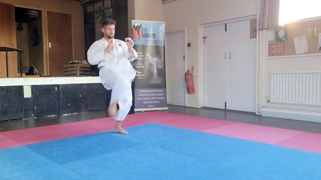 Karate Mae Geri (Front kick) Step by Step смотреть онлайн