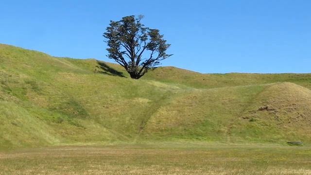 Ветер играет травой смотреть онлайн