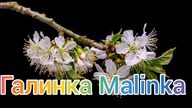 Макеева /Малькова /Мальков /Умоляю, спасите детей/Обзор/Обзоры Макеевщина / смотреть онлайн