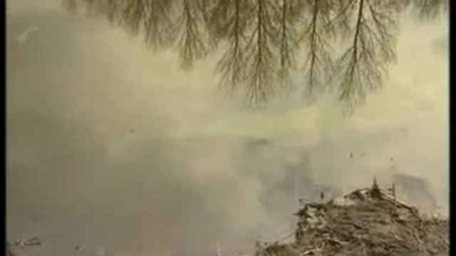 Чухонское озеро смотреть онлайн