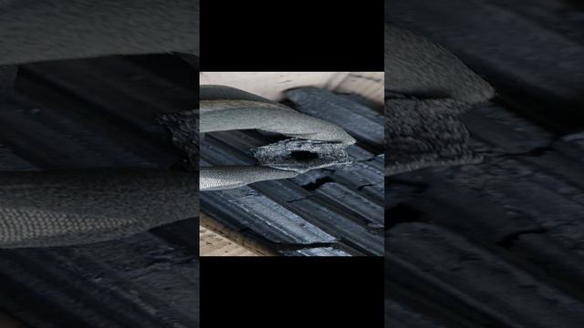 Уголь пиникей ,pinikey Высший сорт .mp4