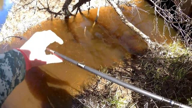 Карась оборвал всё!!! Река Дубна смотреть онлайн