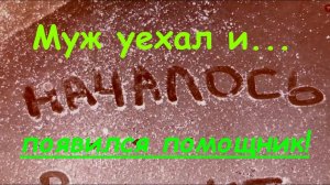 #111 Муж уехал на вахту. Начинаем ремонт в комнате. Новый помощник на кухне от Oberhof.