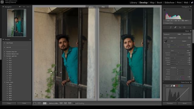 How to choose Perfect Colour Tone for your Photos (NEW TRICK) - NSB Pictures смотреть онлайн