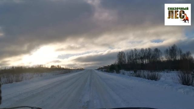 ВИЗУАЛЬНОЕ НАСЛАЖДЕНИЕ под классическую музыку/СКАЗОЧНЫЙ ЛЕС