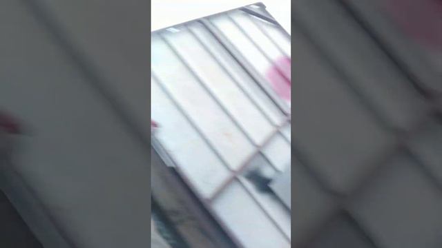 28 января 2024 г. смотреть онлайн