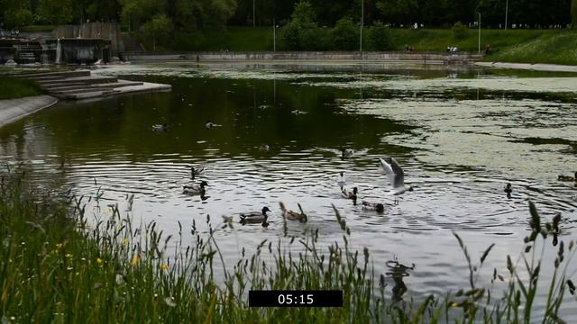 ПОТЕРЯЛ И ЖЕНУ И ДРУГА. Интересные истории из жизни [аудио рассказ] смотреть онлайн