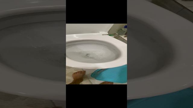 Унитаз🤮🤮🤮
