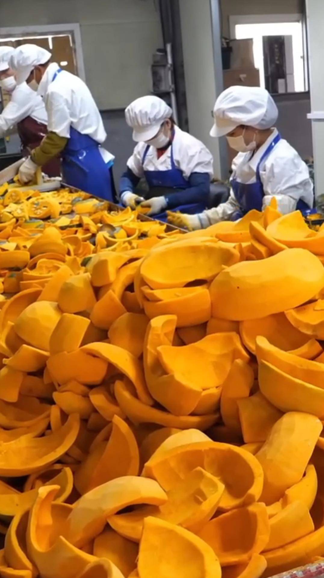 Производство тыквенного сока #shorts #тыква #сок смотреть онлайн