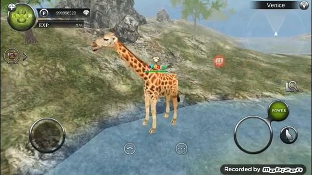 Wild Animals Online Коды на ник, и Лерон мод ссылка👇 смотреть онлайн