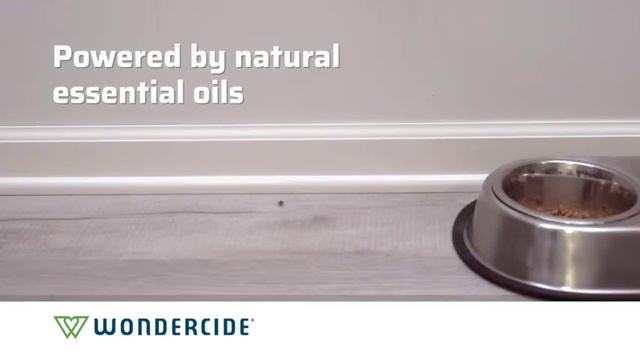 NEW Ant & Roach Aerosol Spray