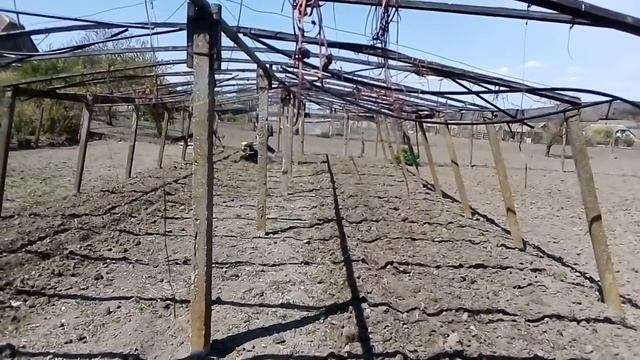 Работа мотоблоком НЕВА смотреть онлайн