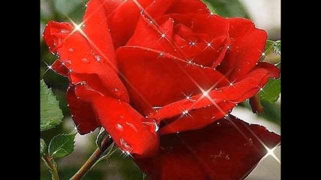 Я ТЕБЕ КОХАЮ Я ЗАВЖДИ З ТОБОЮ! смотреть онлайн