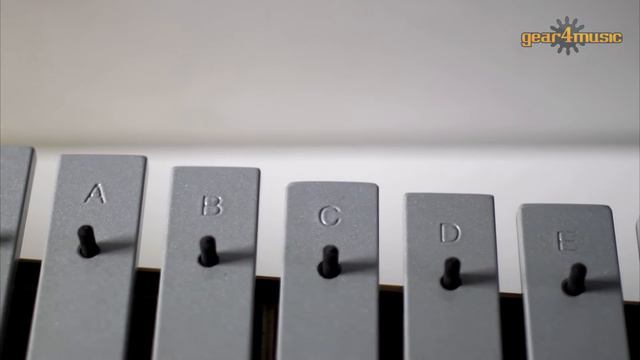 Diatonic and Chromatic Half Soprano Glockenspiels by Gear4music смотреть онлайн