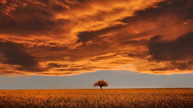 #chillout #chillmusic #lounge Twilight Andrew Odd смотреть онлайн