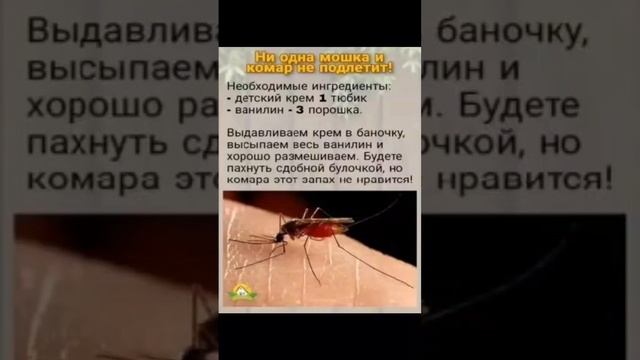 Средство от комаров в домашних условиях смотреть онлайн